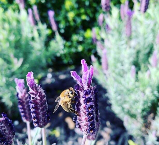 فندق Farm Stay Maple Cottage At Wilindi Estate