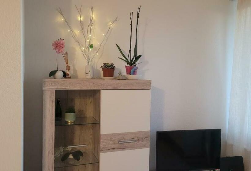 فندق Ryan Apartament