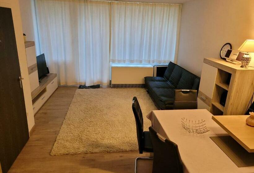 ホテル Ryan Apartament