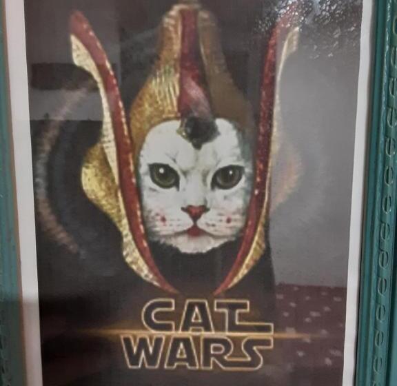 بنسيون Hostal El Molino