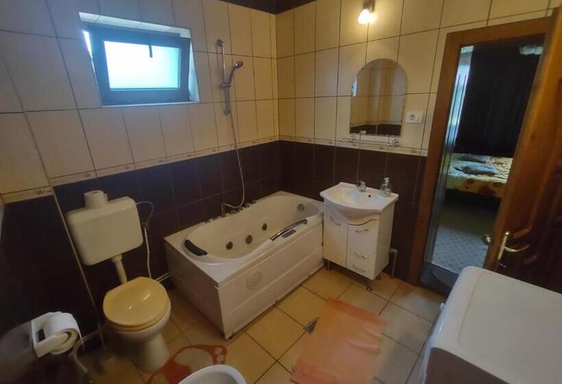 Pensiunea Ghiță Vasile