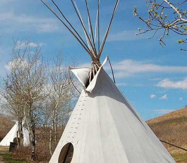 تختخواب و صبحانه Bamboo Lodge Groningen