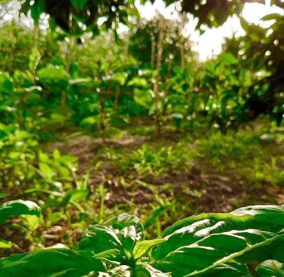 בית מלון כפרי Kred