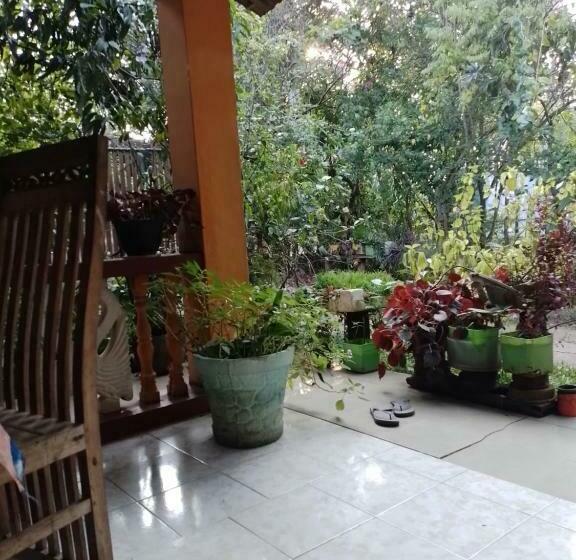 פנסיון Purple Flower