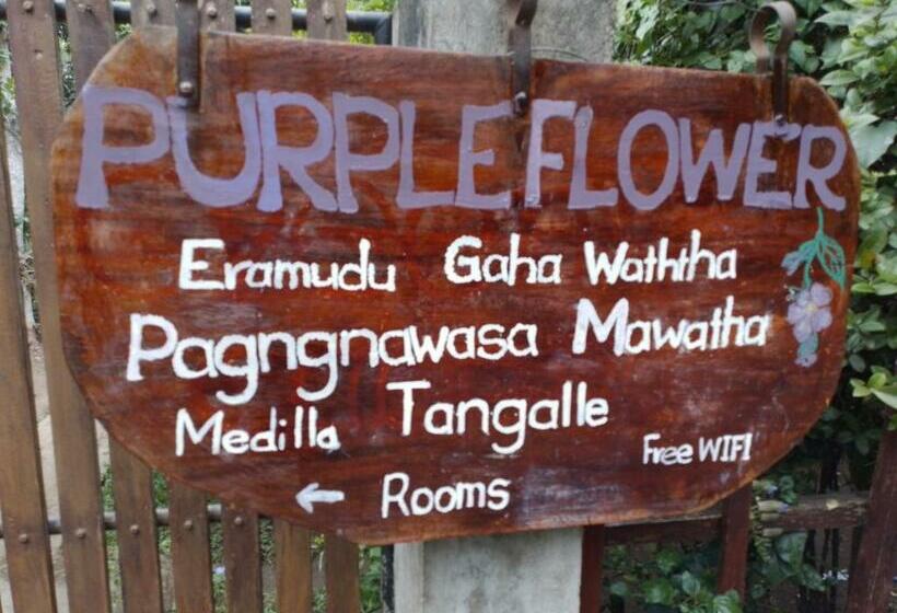 פנסיון Purple Flower