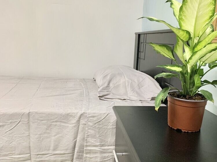 فندق صغير Global House Costa Rica Backpackers