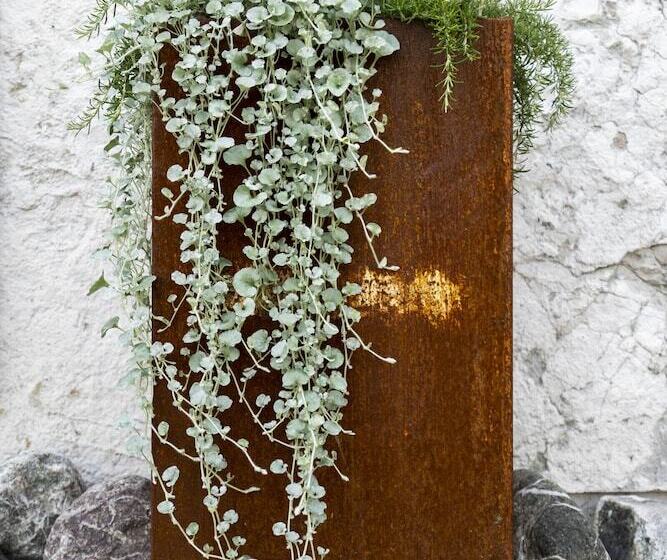 Bed And Breakfast Canalgrande