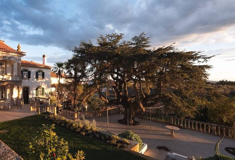 ホテル Casa Do Cedro De Medelim