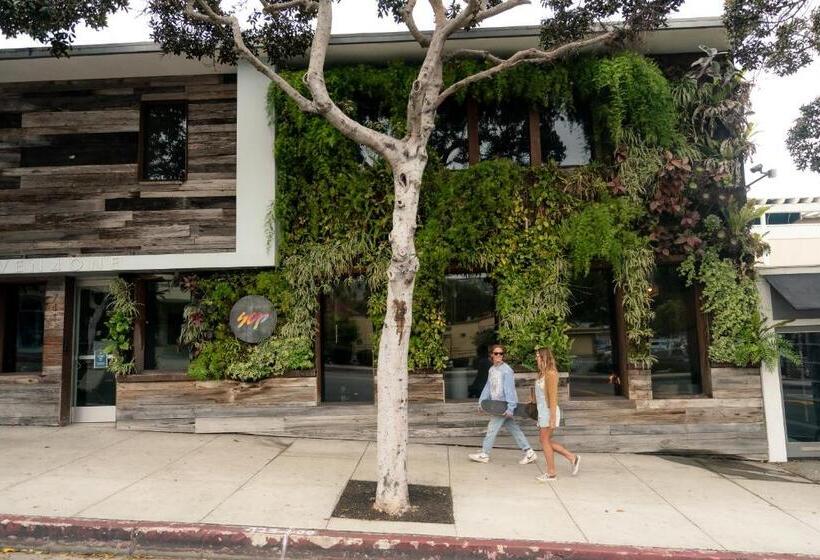 ホテル Scp Seven4one