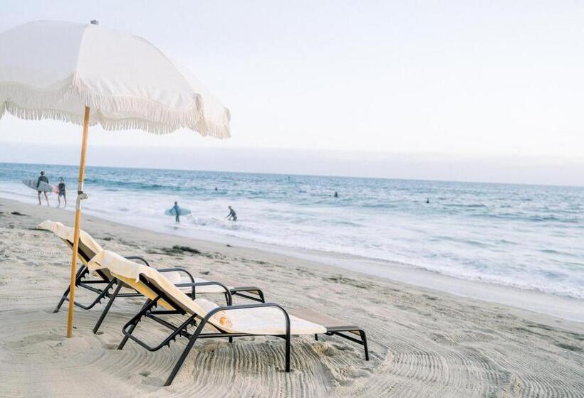 ホテル Scp Seven4one