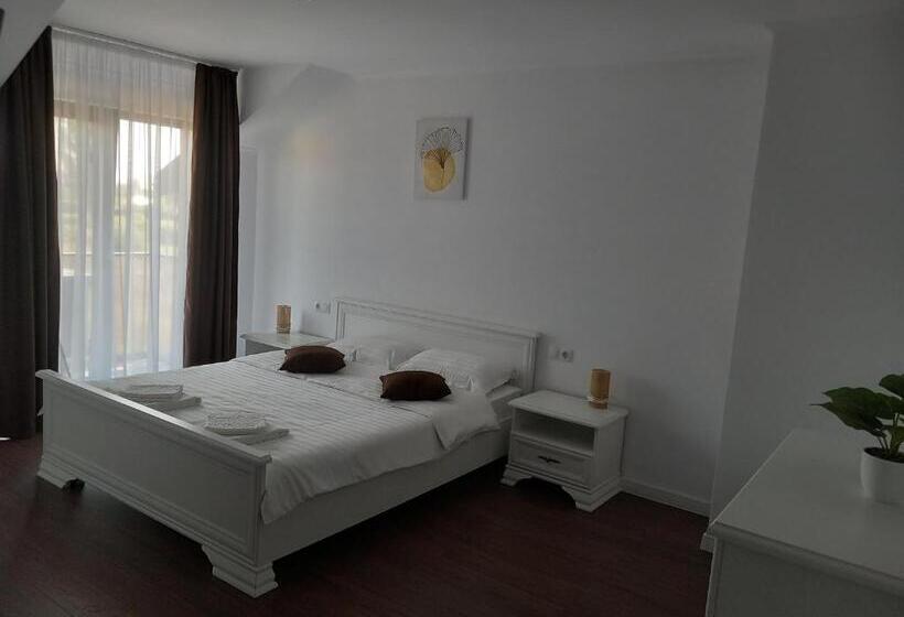 Пансион Casa Ambientt