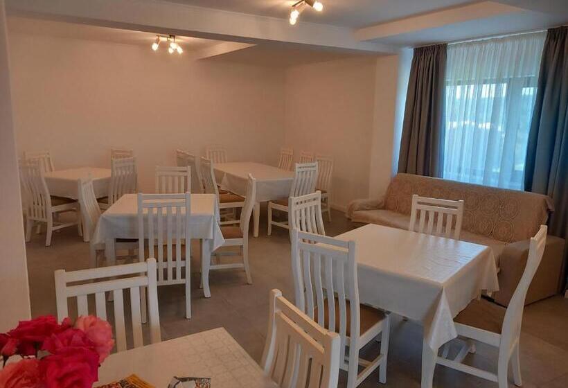 Пансион Casa Ambientt