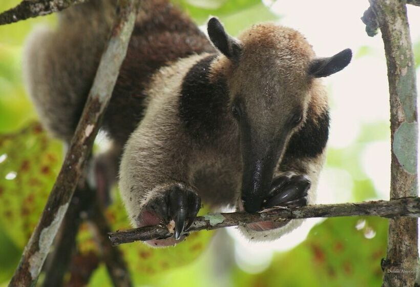 Crocodile Bay Resort