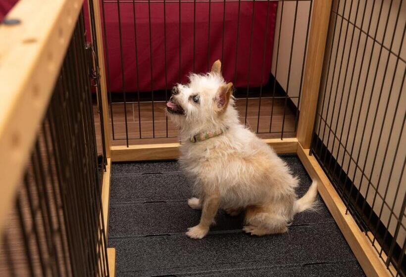 Apa Hotel & Resort Joetsu Myoko