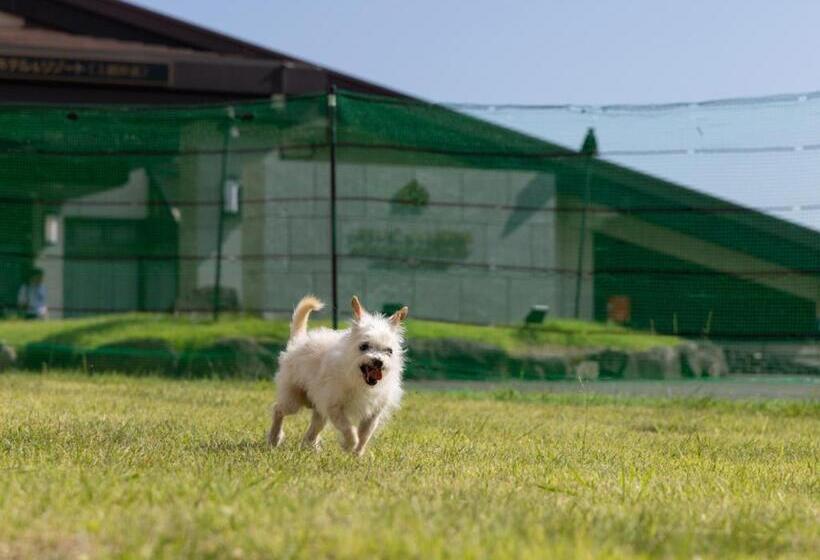 Apa Hotel & Resort Joetsu Myoko