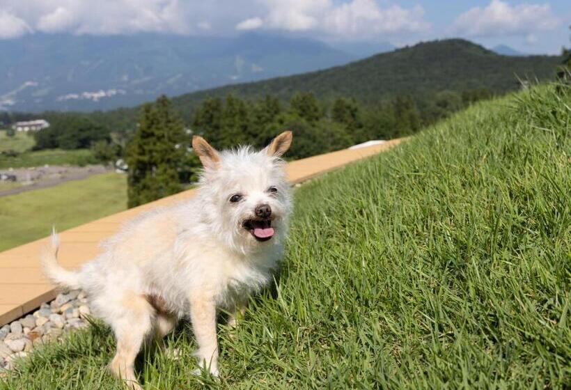 Apa Hotel & Resort Joetsu Myoko