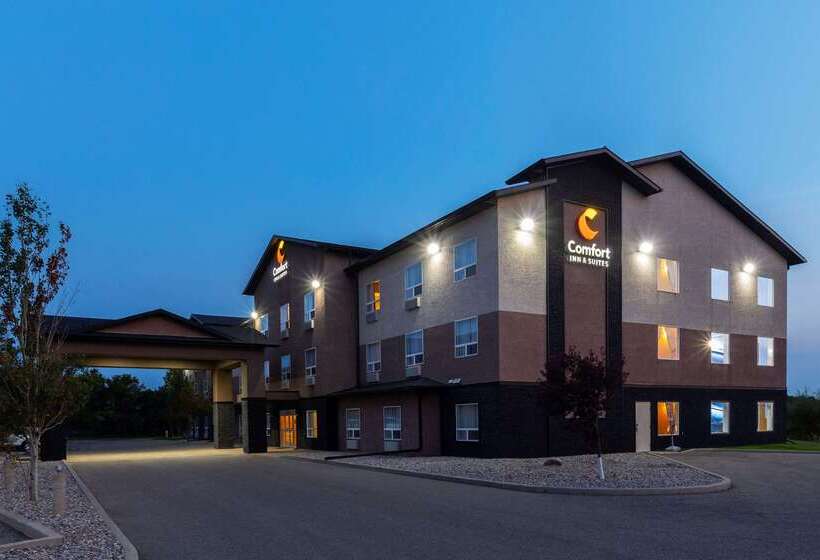 בית מלון כפרי Comfort Inn & Suites