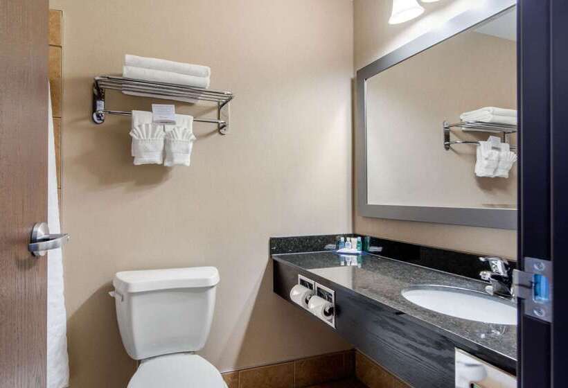 בית מלון כפרי Comfort Inn & Suites