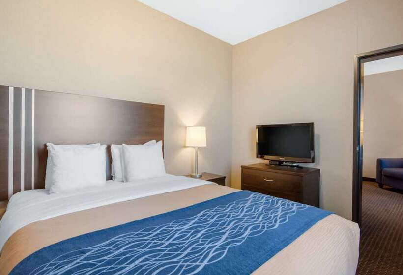 בית מלון כפרי Comfort Inn & Suites