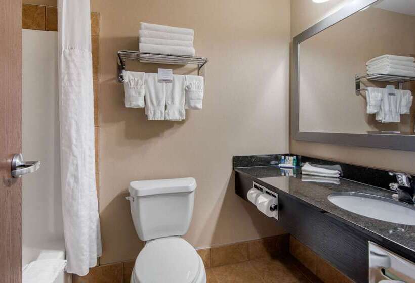 בית מלון כפרי Comfort Inn & Suites