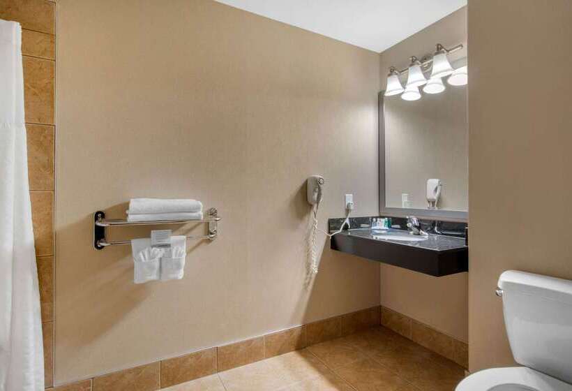 בית מלון כפרי Comfort Inn & Suites