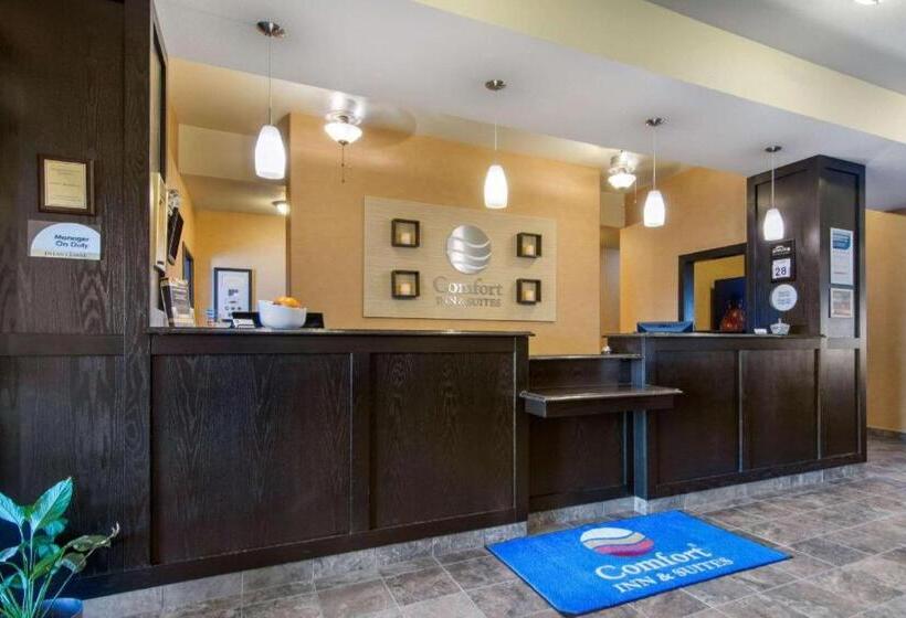 בית מלון כפרי Comfort Inn & Suites