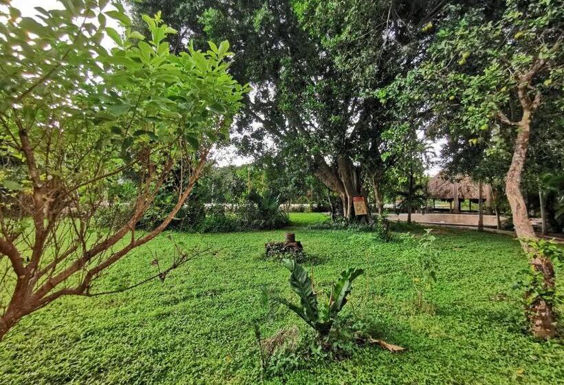 فندق Doralba Inn Chichen