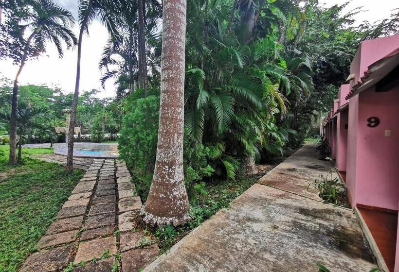 فندق Doralba Inn Chichen