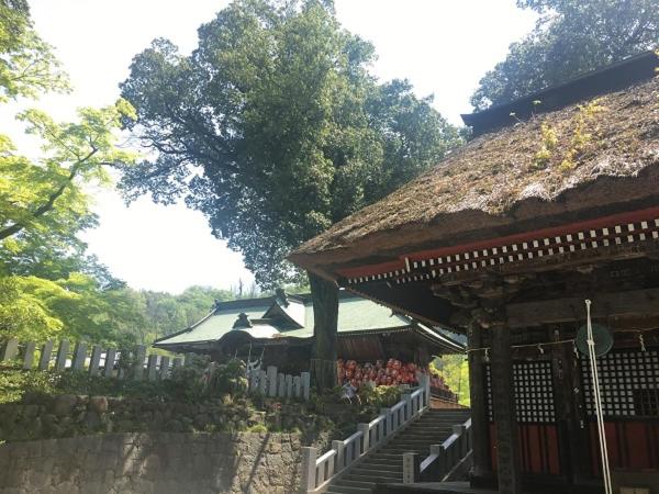 Отель Dormy Inn Takasaki