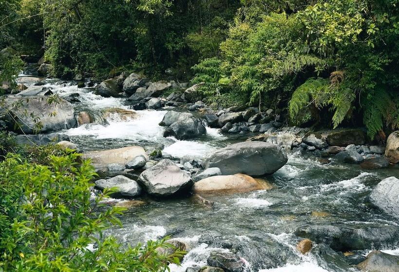 בית מלון כפרי Socialtel Boquete