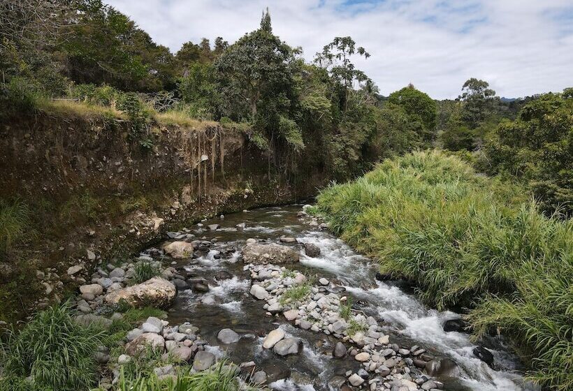 בית מלון כפרי Socialtel Boquete