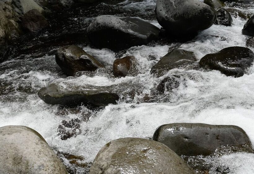 בית מלון כפרי Socialtel Boquete