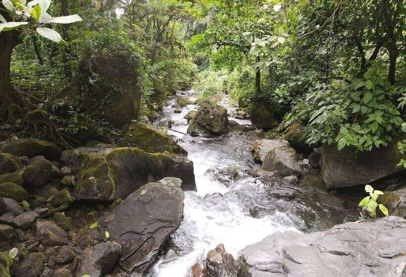 בית מלון כפרי Socialtel Boquete