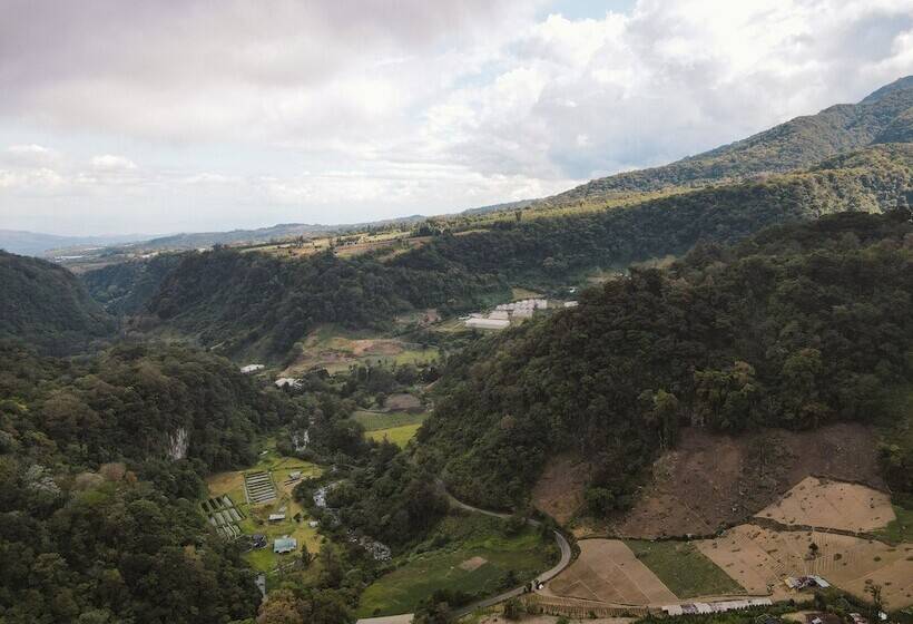 בית מלון כפרי Socialtel Boquete