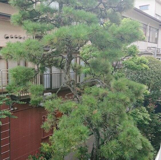 فندق Kinsui Annex