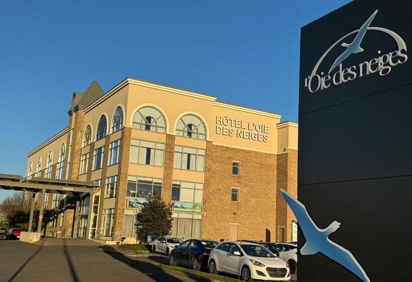 فندق L Oie Des Neiges