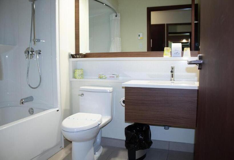 فندق L Oie Des Neiges