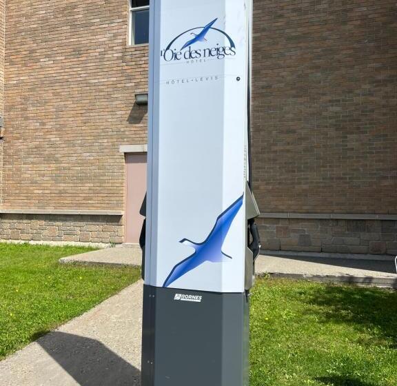 فندق L Oie Des Neiges