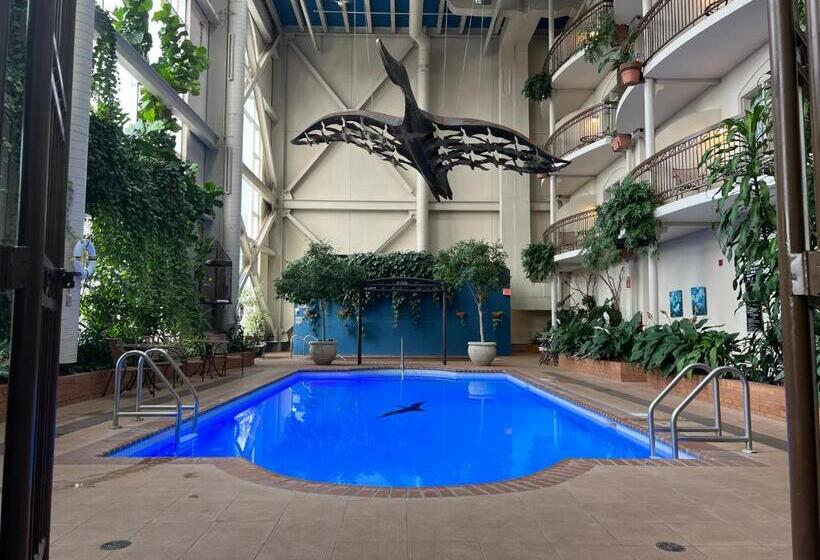 فندق L Oie Des Neiges