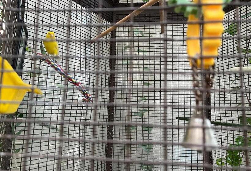 فندق L Oie Des Neiges