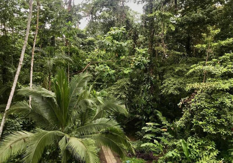 فندق La Kukula Lodge