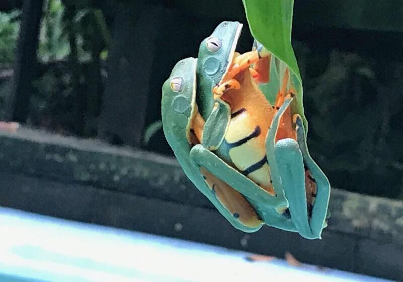 فندق La Kukula Lodge