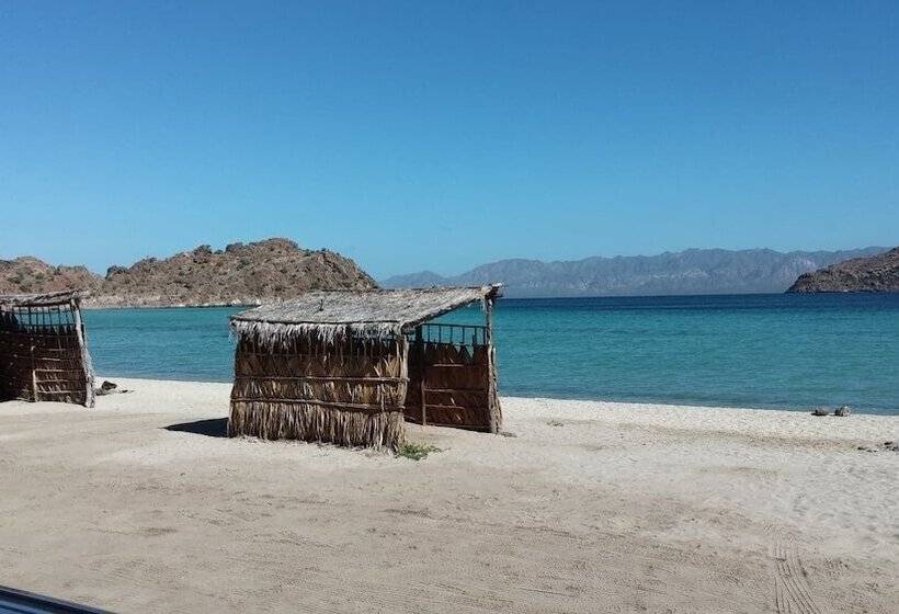 هتل Loreto Playa Boutique