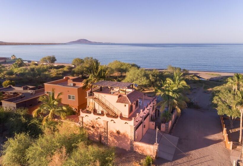 فندق Loreto Playa Boutique