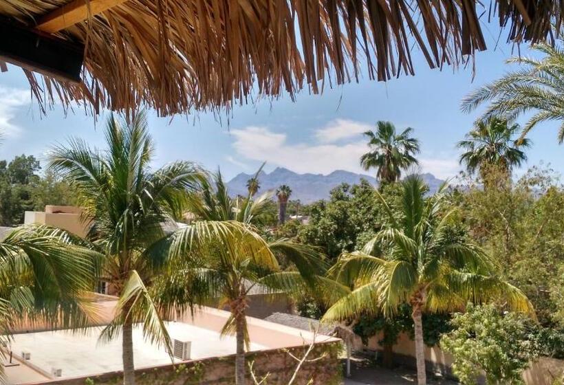 فندق Loreto Playa Boutique