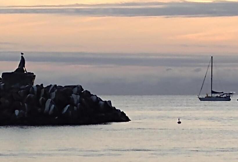 فندق Loreto Playa Boutique