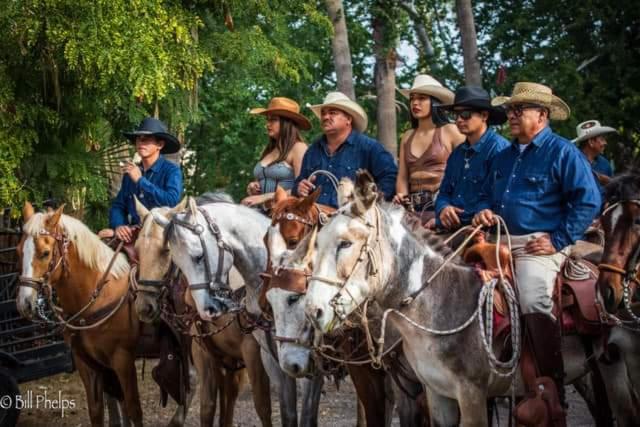 فندق Loreto Playa Boutique