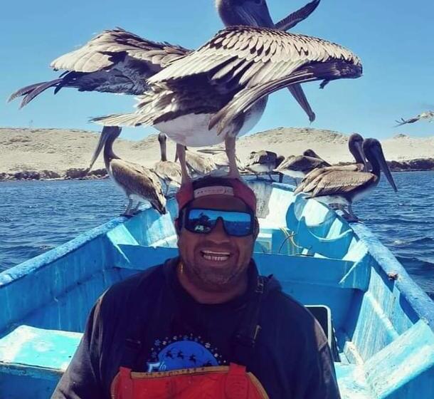 فندق Loreto Playa Boutique