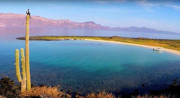 فندق Loreto Playa Boutique