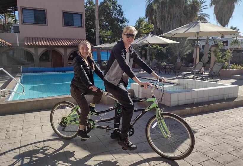 فندق Loreto Playa Boutique